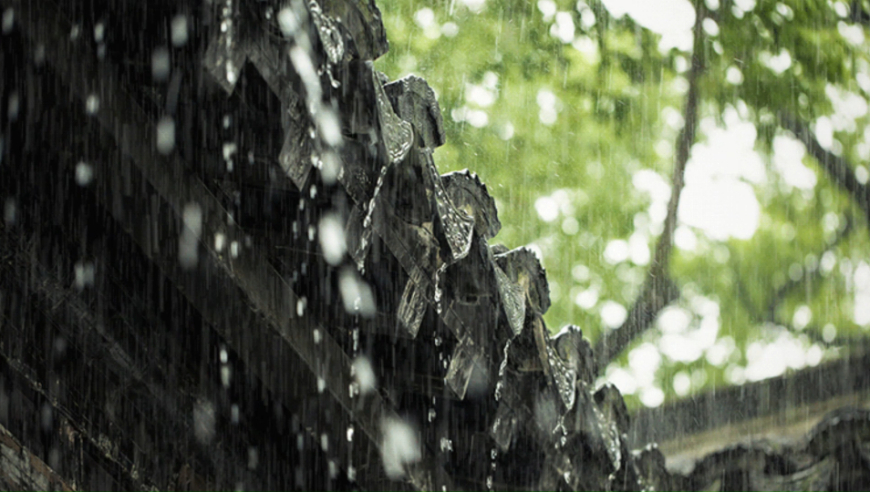 南方雨舞，诗意与风情的无尽雨丝