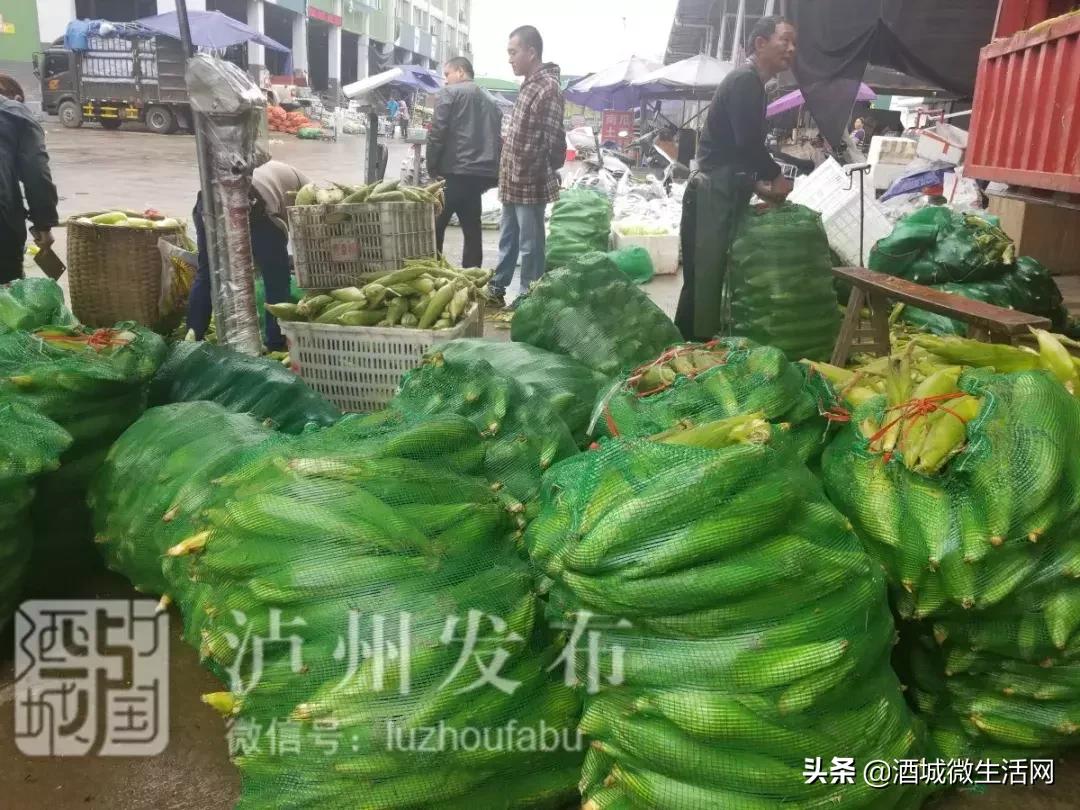 四川泸州农村聚餐严禁使用四季豆，食品安全从我做起守护行动