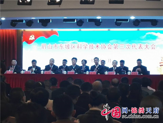 东坡区科技局最新新闻动态及其区域影响概览