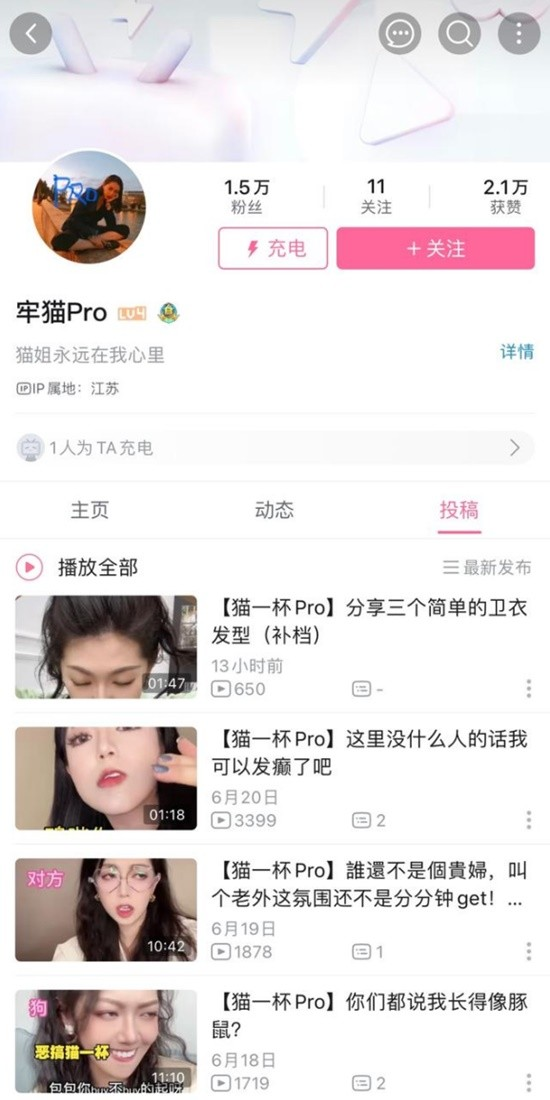 网红猫一杯遭遇诉讼风波，事件真相与启示探究