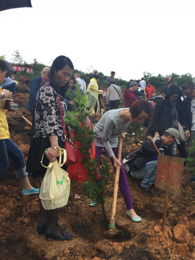 住建局回应佛山小区装修骨灰房事件，理性看待，依法处理