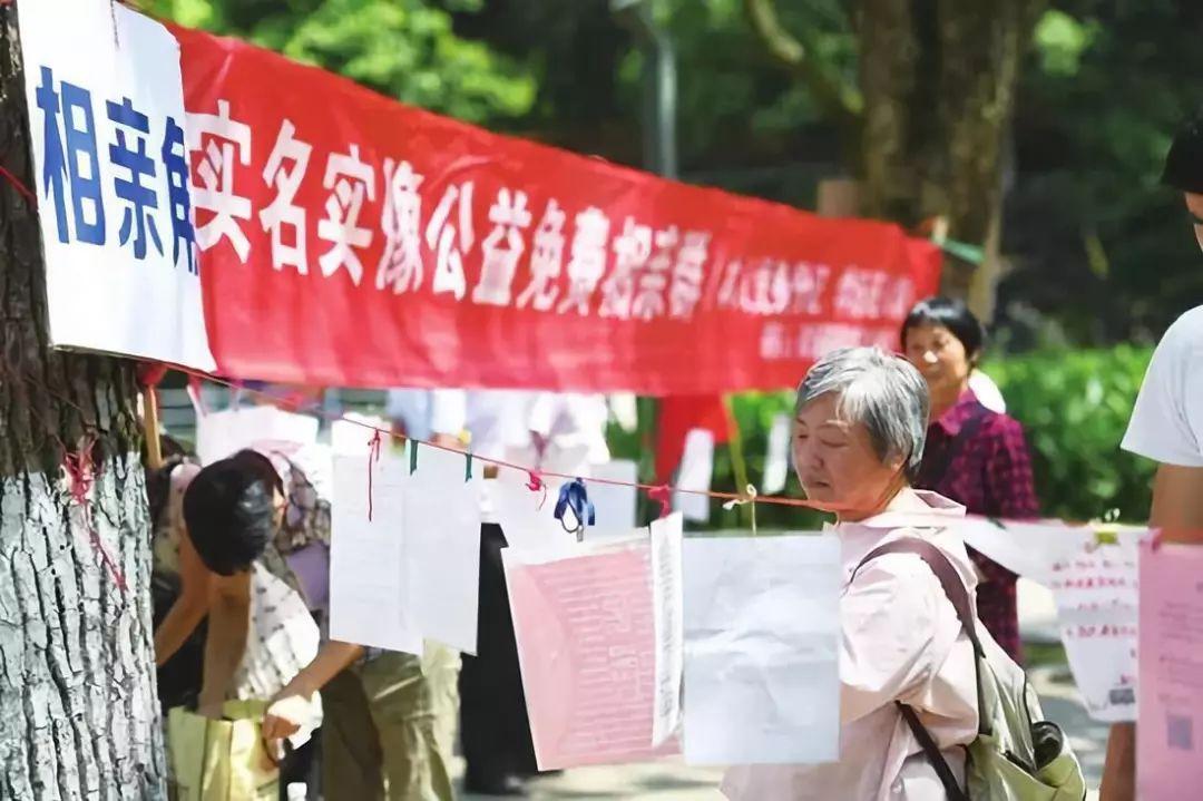 浙江大学副教授相亲事件引发关注，要求与高校介入的必要性探讨